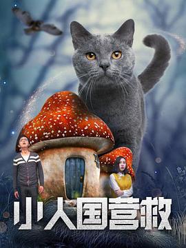 在线观看视频福利