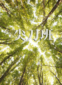 av188电影