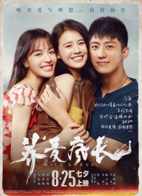 555netflix笔盒在线看